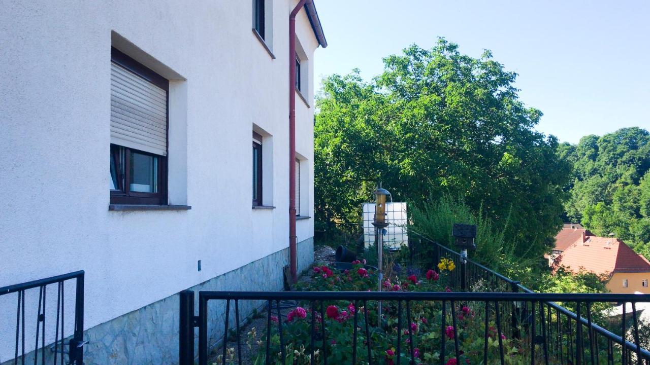 Schlossberg Apartments & Garten In Der Natur & Unweit Vom "Thueringer Meer" Unterwellenborn Extérieur photo