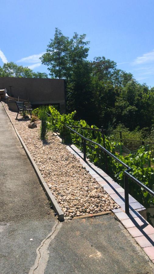 Schlossberg Apartments & Garten In Der Natur & Unweit Vom "Thueringer Meer" Unterwellenborn Extérieur photo